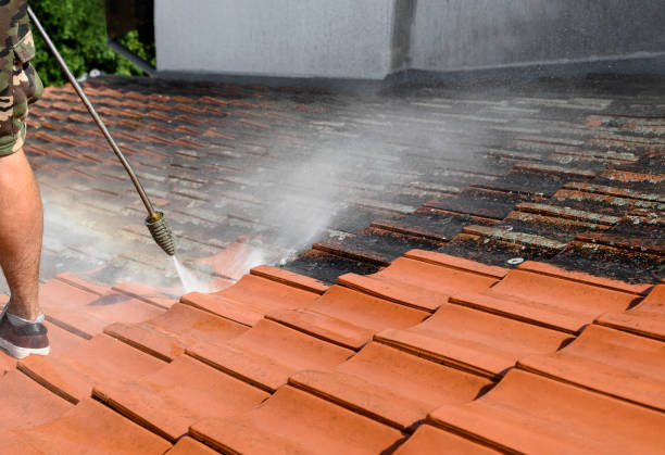 Best Affordable Power Washing  in Jackson, KY