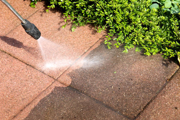 Best Roof Pressure Washing  in Jackson, KY